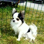lataus (3)